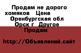 Продам не дорого хомяков › Цена ­ 70-150 - Оренбургская обл., Орск г. Другое » Продам   
